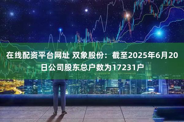 在线配资平台网址 双象股份：截至2025年6月20日公司股东总户数为17231户